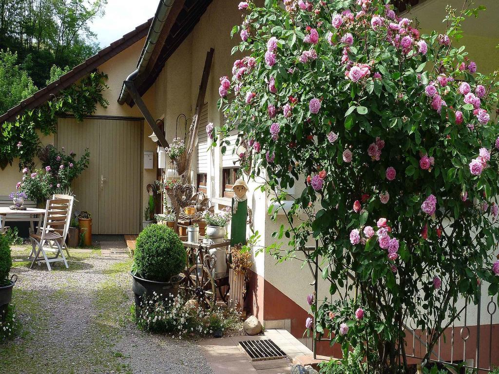 Ferienwohnung Huegelgarten Oppenau Exterior photo